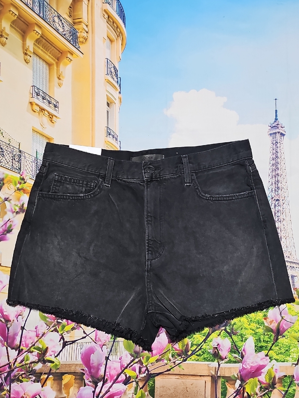 Joe's Overdrive‎ Raw Hem Shorts Size 31 New